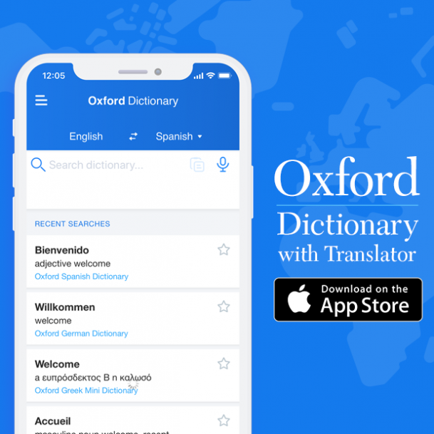 Dictionary app project preview